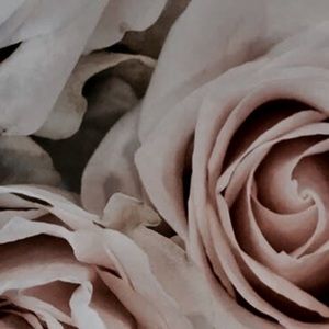 Meet your Posher, Alace